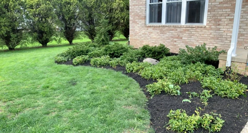 Expert residential landscaping near you across North Canton, OH - Clean Cut Lawns Landscape & Tree Work