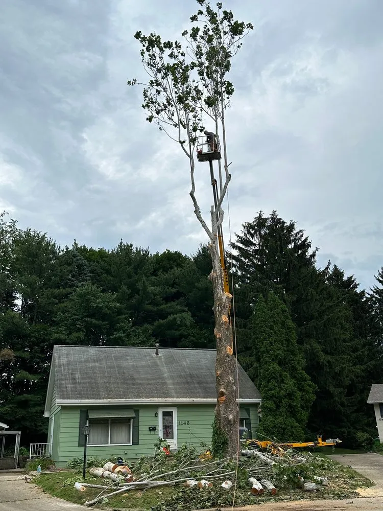 Reliable landscape installation with custom design across North Canton, OH - Clean Cut Lawns Landscape & Tree Work