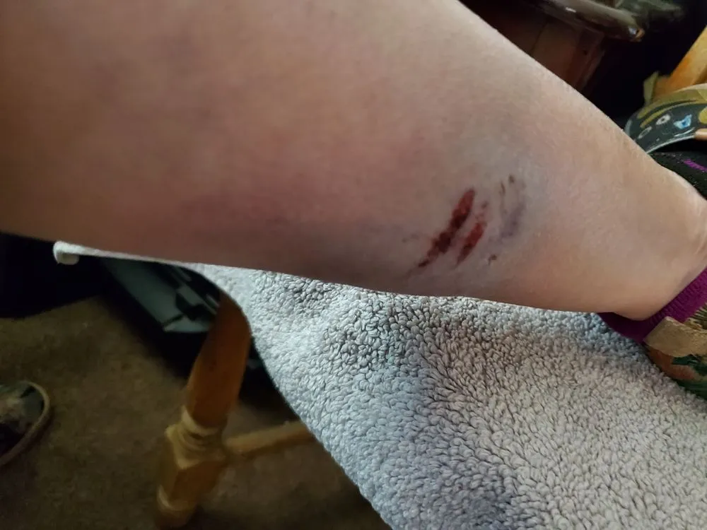 Affordable landscape installation for outdoor upgrades in Orwell, OH by Clean Cut Lawns