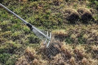 Reliable yard maintenance in Live Oak, FL by Clean Cut Mowing & More