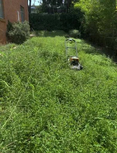 Top-rated residential landscaping in Live Oak, FL - Clean Cut Mowing & More