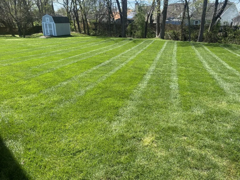 Professional yard cleanup service in Henderson, KY - Clean Cut Mowing