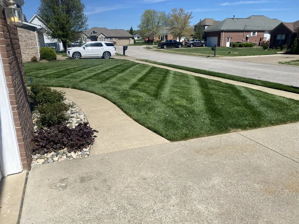 Expert lawn care service for homes across Henderson, KY - Clean Cut Mowing
