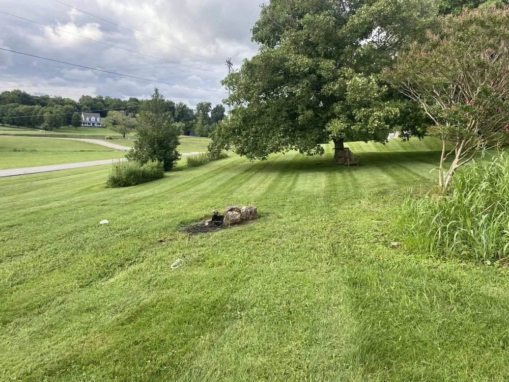 Expert yard maintenance in Henderson, KY - Clean Cut Mowing