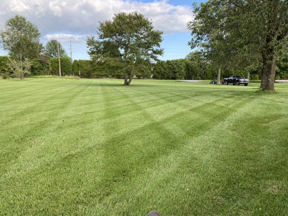 Top-rated garden landscaping near you in Henderson, KY by Clean Cut Mowing
