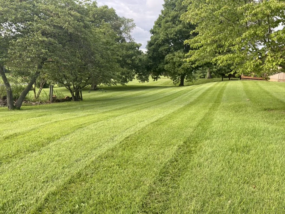 Trusted yard cleanup service for year-round maintenance in Henderson, KY by Clean Cut Mowing