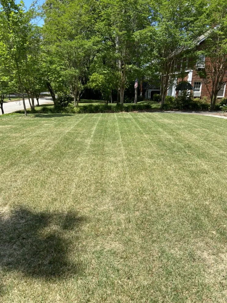 Trusted yard maintenance near you across Augusta, GA - Clean Cut Outdoor Care