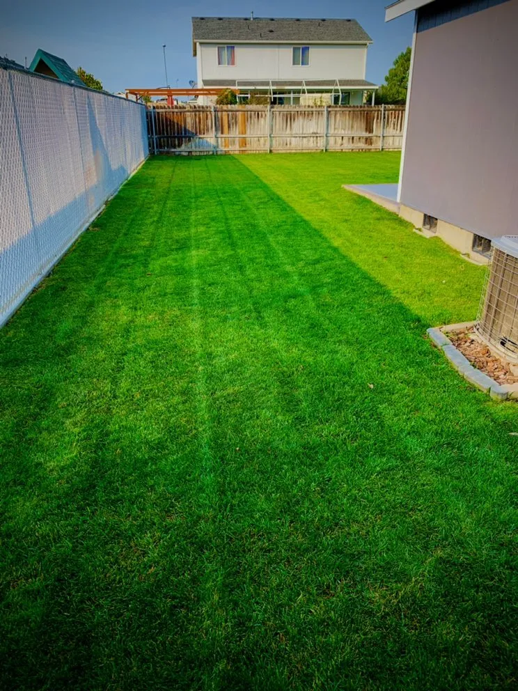 Custom landscape installation in Pasco, WA - Clean Cut