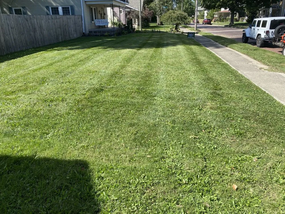 Affordable landscape design for outdoor upgrades across Country Club Heights, IN - Clean Cut Property Maintenance