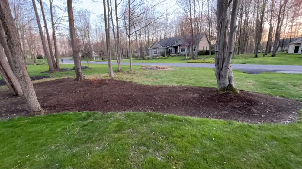 Top-rated residential landscaping for beautiful yards across Erie, PA - Clean Cut Services Erie