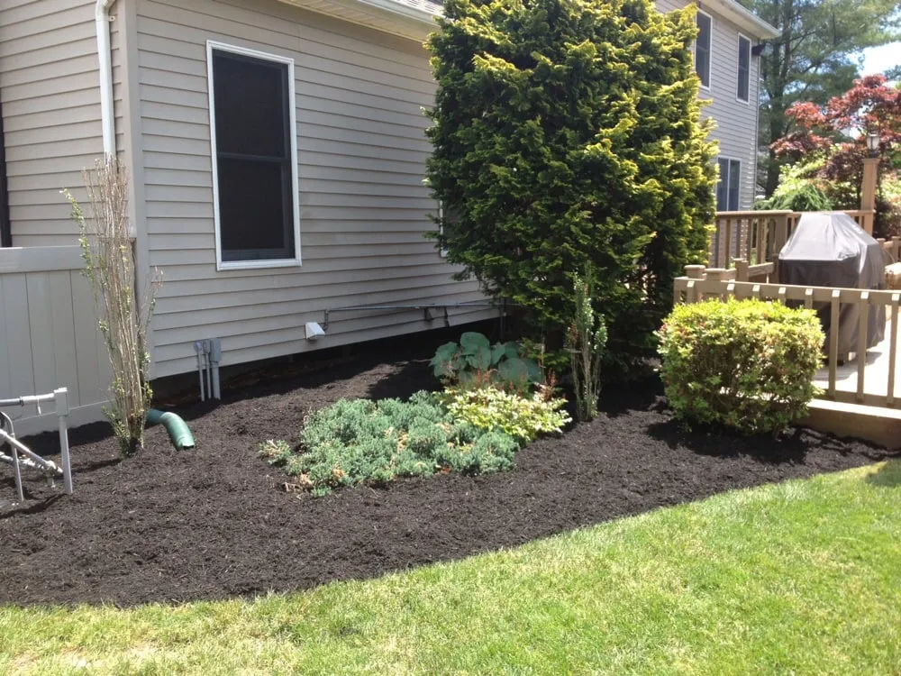 Local lawn mowing service experts serving West Babylon, NY - Clean Cut Services