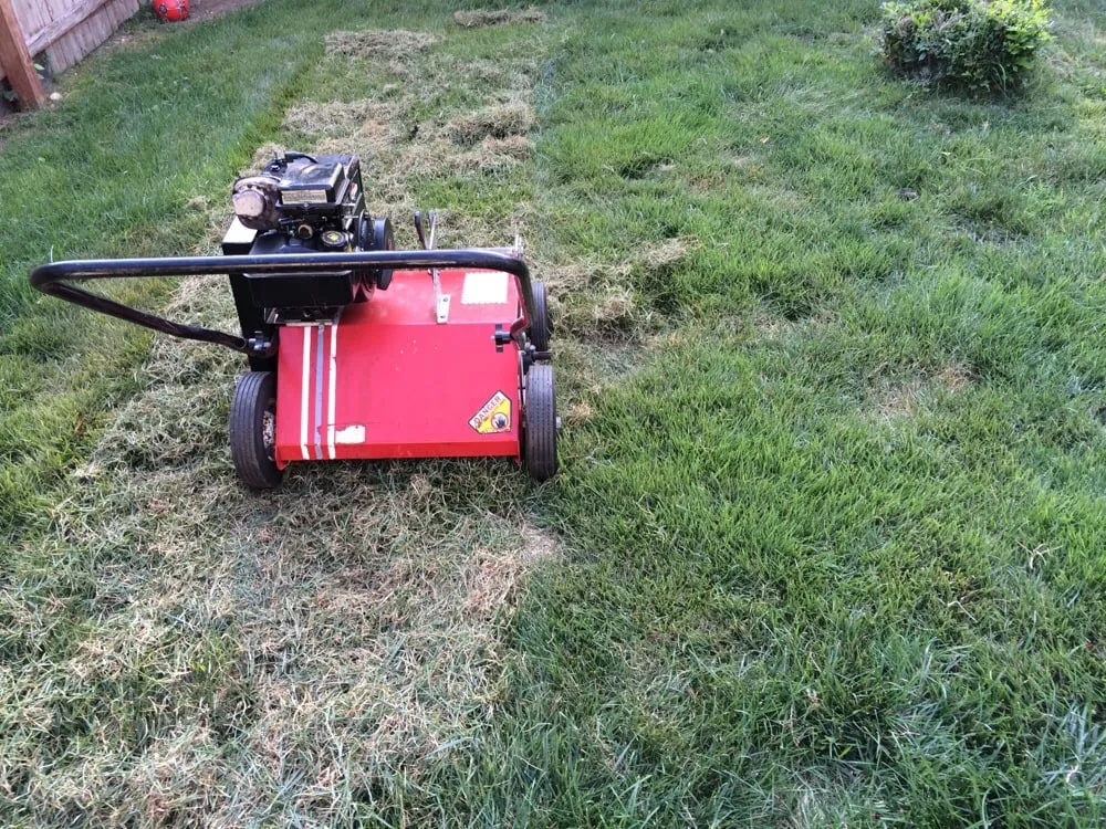 Top-rated garden landscaping in West Babylon, NY by Clean Cut Services