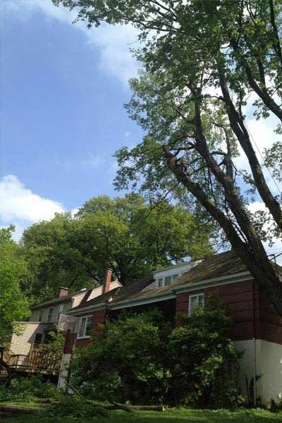 Reliable lawn care service with custom design in Cincinnati, OH by Clean Cut Tree & Landscape