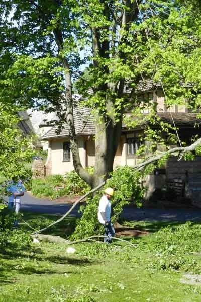 Local lawn care service for year-round maintenance across Cincinnati, OH - Clean Cut Tree & Landscape