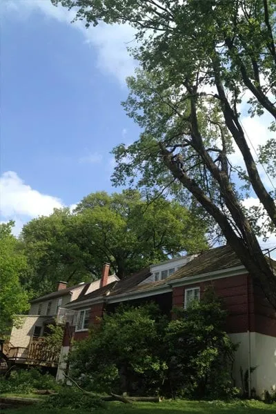 Local landscaping services for beautiful yards in Cincinnati, OH by Clean Cut Tree & Landscape