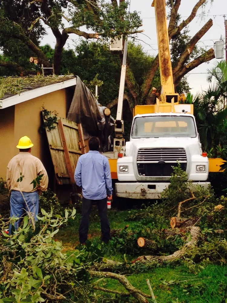 Reliable residential landscaping in Melbourne, FL by Clean Cut Tree Service & Stump Grinding, Inc
