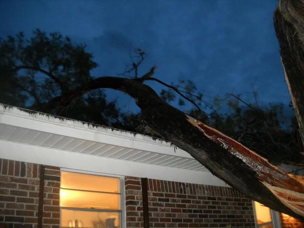 Professional garden landscaping with custom design in Melbourne, FL by Clean Cut Tree Service & Stump Grinding, Inc