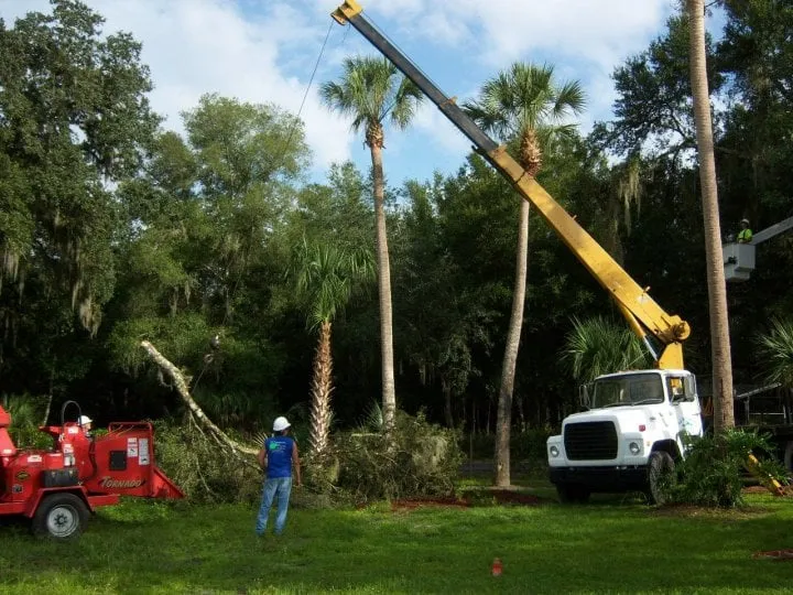 Local outdoor landscaping for homes in Melbourne, FL by Clean Cut Tree Service & Stump Grinding, Inc