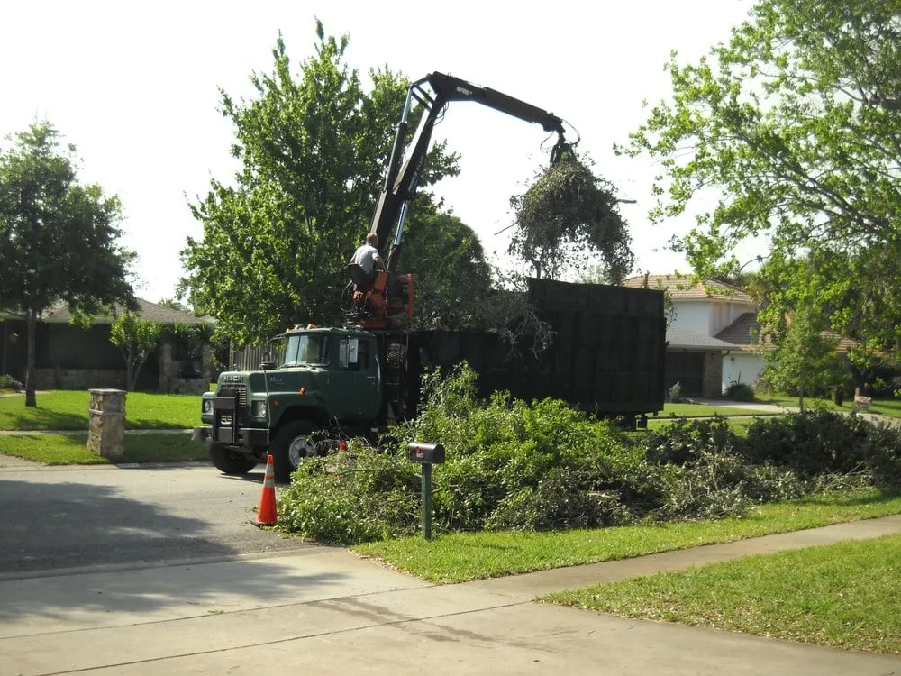 Affordable garden landscaping for outdoor upgrades in Melbourne, FL by Clean Cut Tree Service & Stump Grinding, Inc