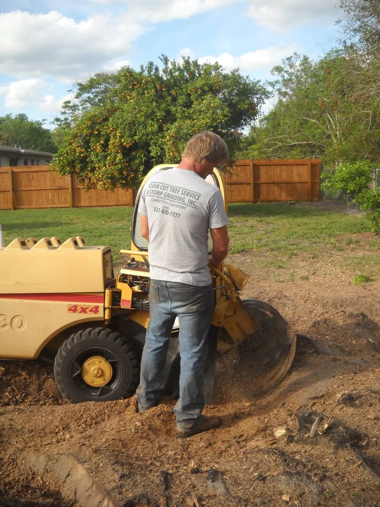 Affordable landscape installation in Melbourne, FL by Clean Cut Tree Service & Stump Grinding, Inc