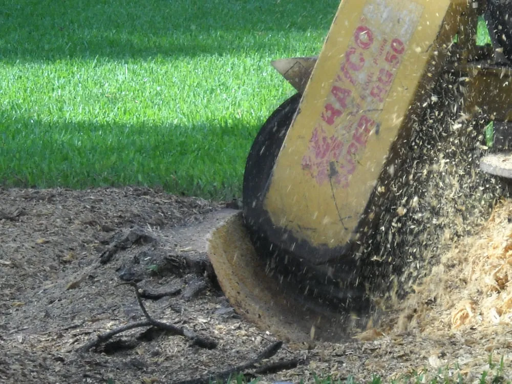 Top-rated landscaping services with custom design in Melbourne, FL by Clean Cut Tree Service & Stump Grinding, Inc