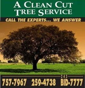 Affordable landscape installation for homes across Melbourne, FL - Clean Cut Tree Service & Stump Grinding, Inc