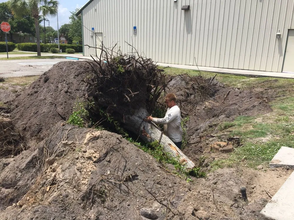 Trusted outdoor landscaping for outdoor upgrades in Melbourne, FL by Clean Cut Tree Service & Stump Grinding, Inc
