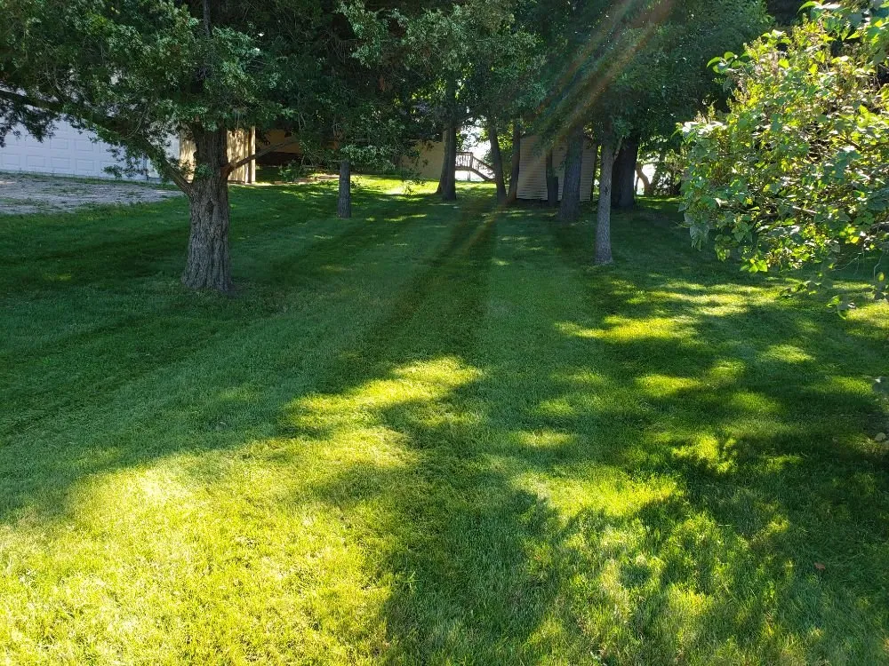 Expert yard cleanup service experts serving Annandale, MN - Clean Cut Turf