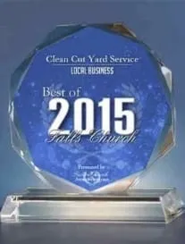 Professional landscape installation for year-round maintenance in Falls Church, VA by Clean Cut Yard Service
