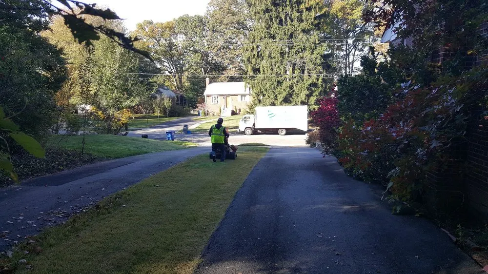 Affordable landscape installation for outdoor upgrades in Falls Church, VA by Clean Cut Yard Service