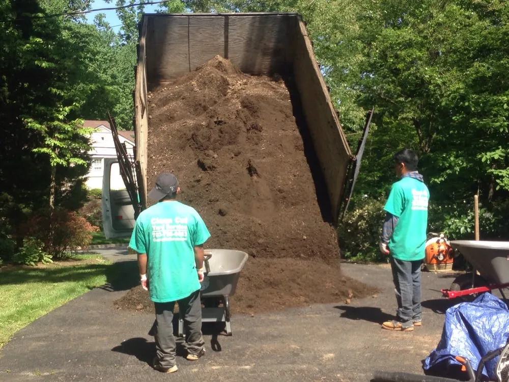 Custom lawn care service in Falls Church, VA - Clean Cut Yard Service