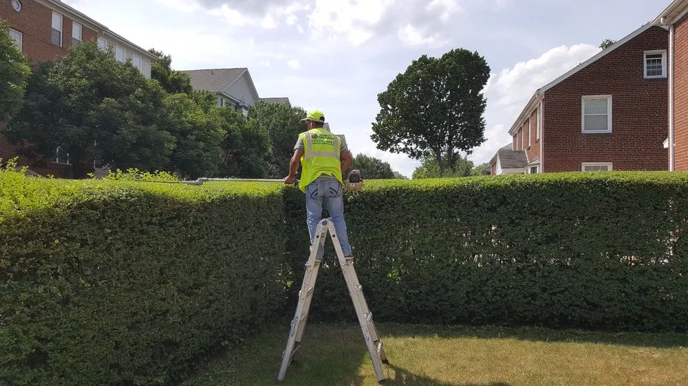 Local landscape design for homes in Falls Church, VA by Clean Cut Yard Service