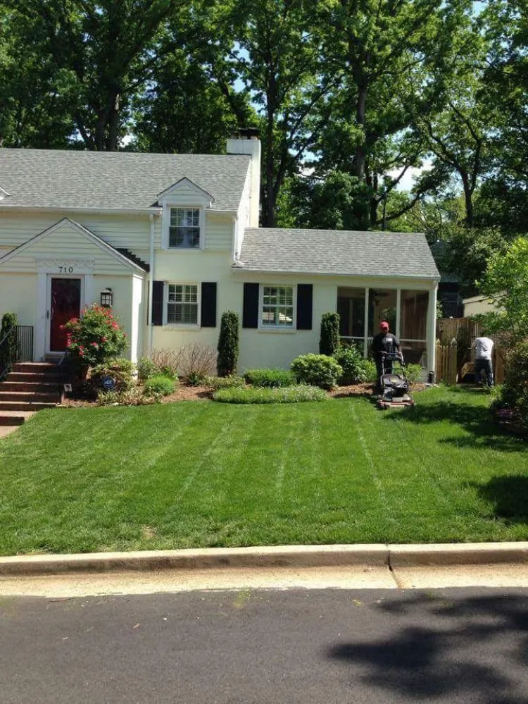 Top-rated garden landscaping experts serving Falls Church, VA - Clean Cut Yard Service