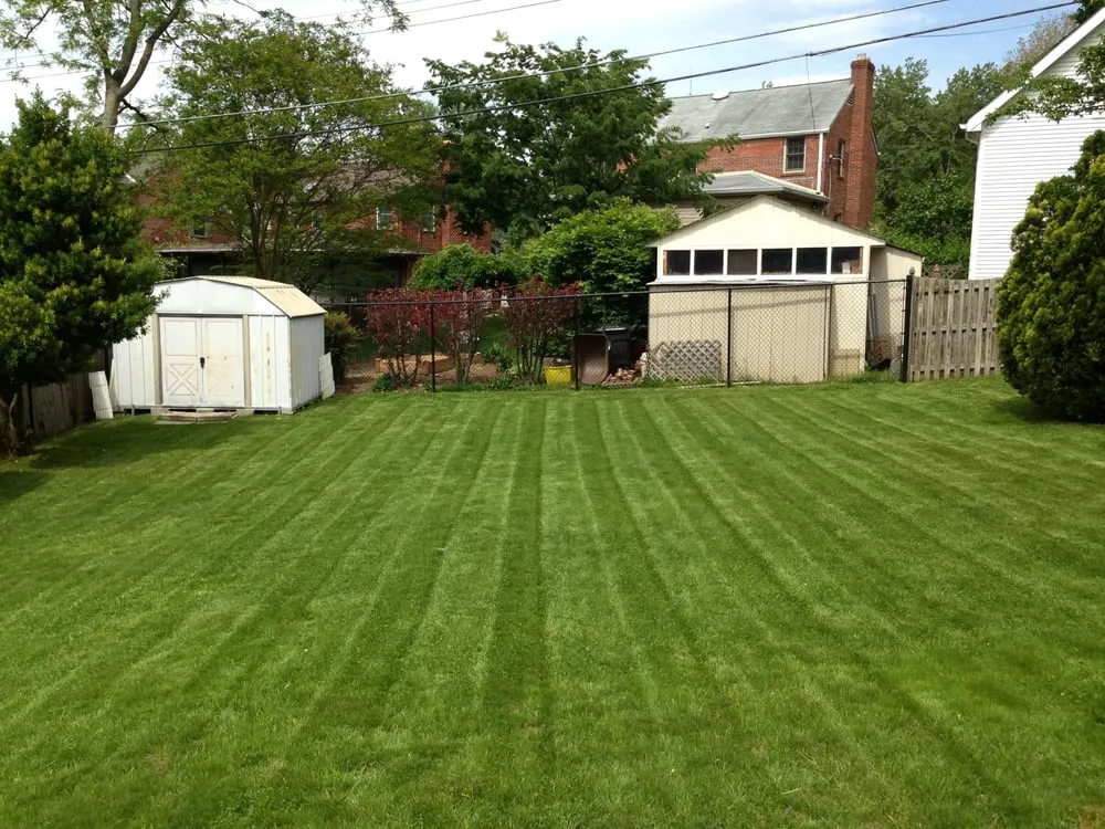 Professional garden landscaping experts serving Falls Church, VA - Clean Cut Yard Service