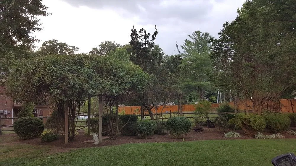 Reliable residential landscaping in Falls Church, VA - Clean Cut Yard Service