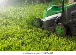 Local landscape installation with custom design in Adrian, MI by Clean Cuts