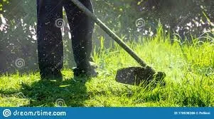 Custom lawn care service in Adrian, MI by Clean Cuts