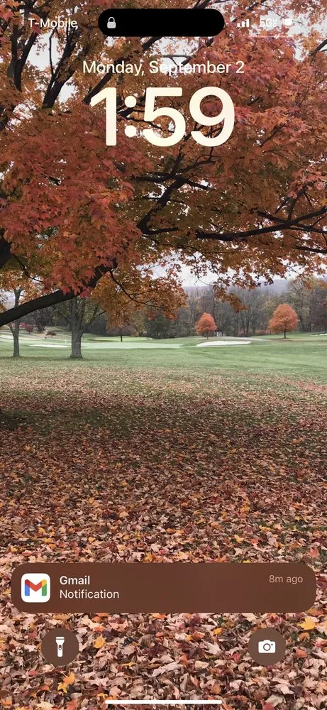 Professional landscape installation in Philadelphia, PA by Clean Cuts Grounds Men