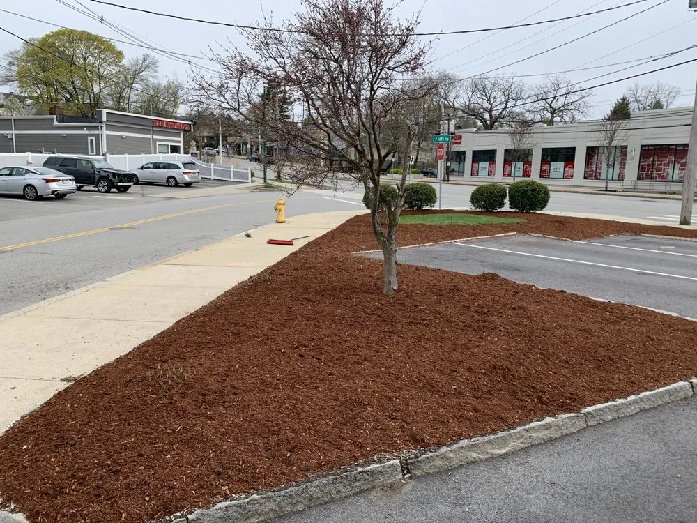 Local landscape installation in Belmont, MA - Clean Cuts Landscaping