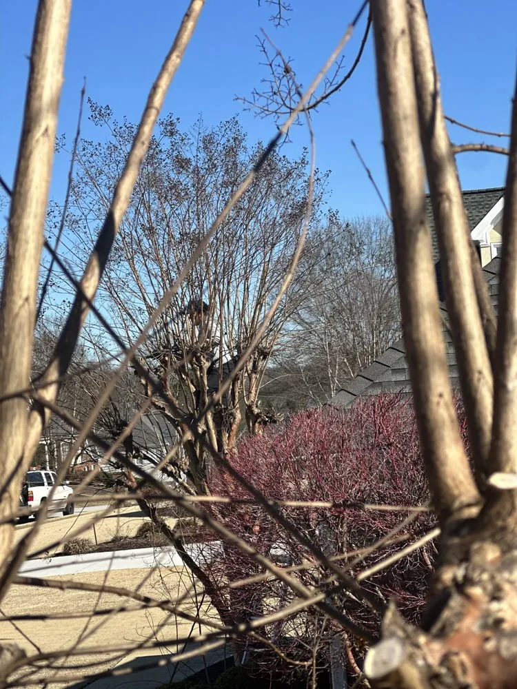 Affordable landscaping services in Dacula, GA - Clean Cuts Landscaping