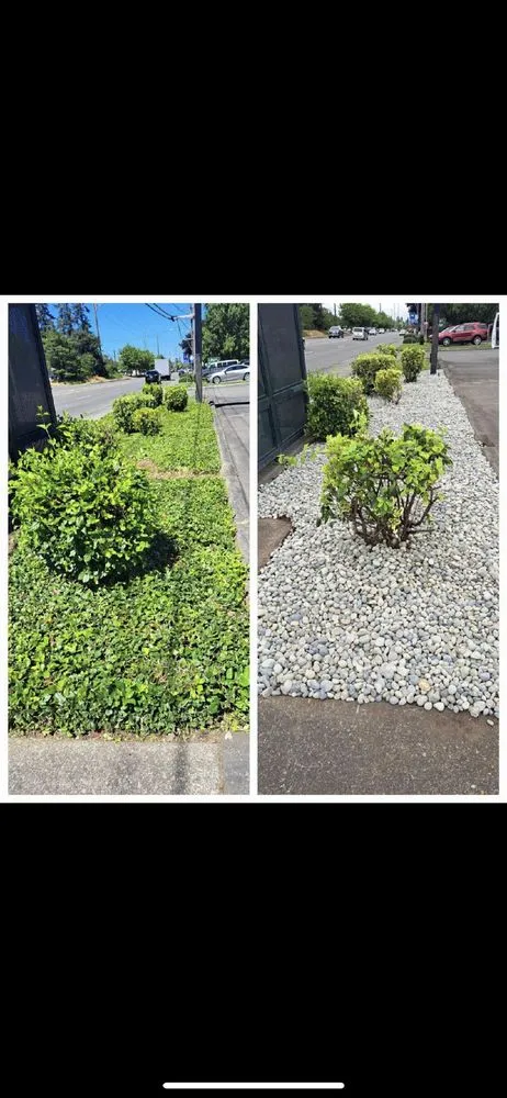 Top-rated outdoor landscaping for homes across Yelm, WA - Clean Cuts Landscaping
