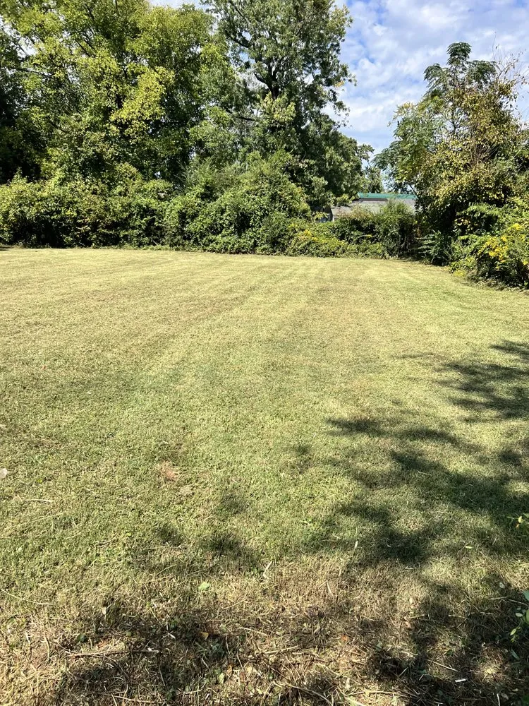 Professional landscape installation in Meridianville, AL - Clean Cuts lawn and landscape