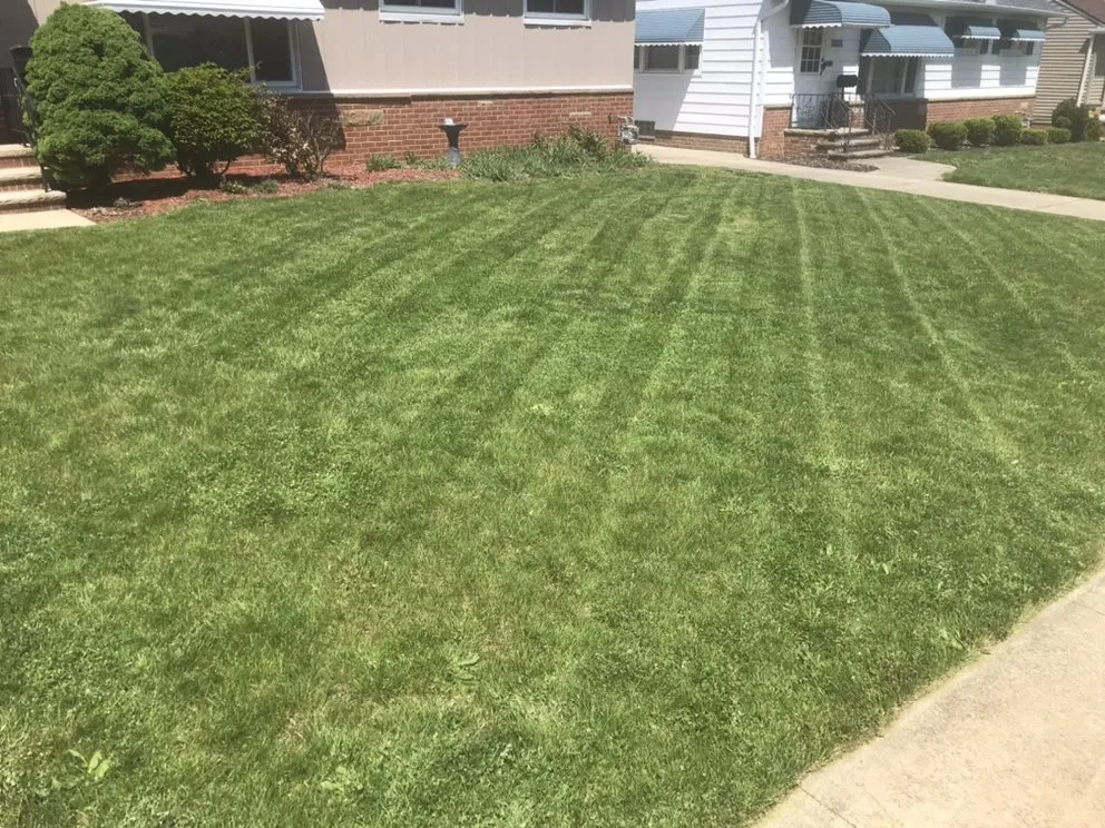 Top-rated residential landscaping experts serving Parma, OH - Clean Cuts Lawn Care And Property Services