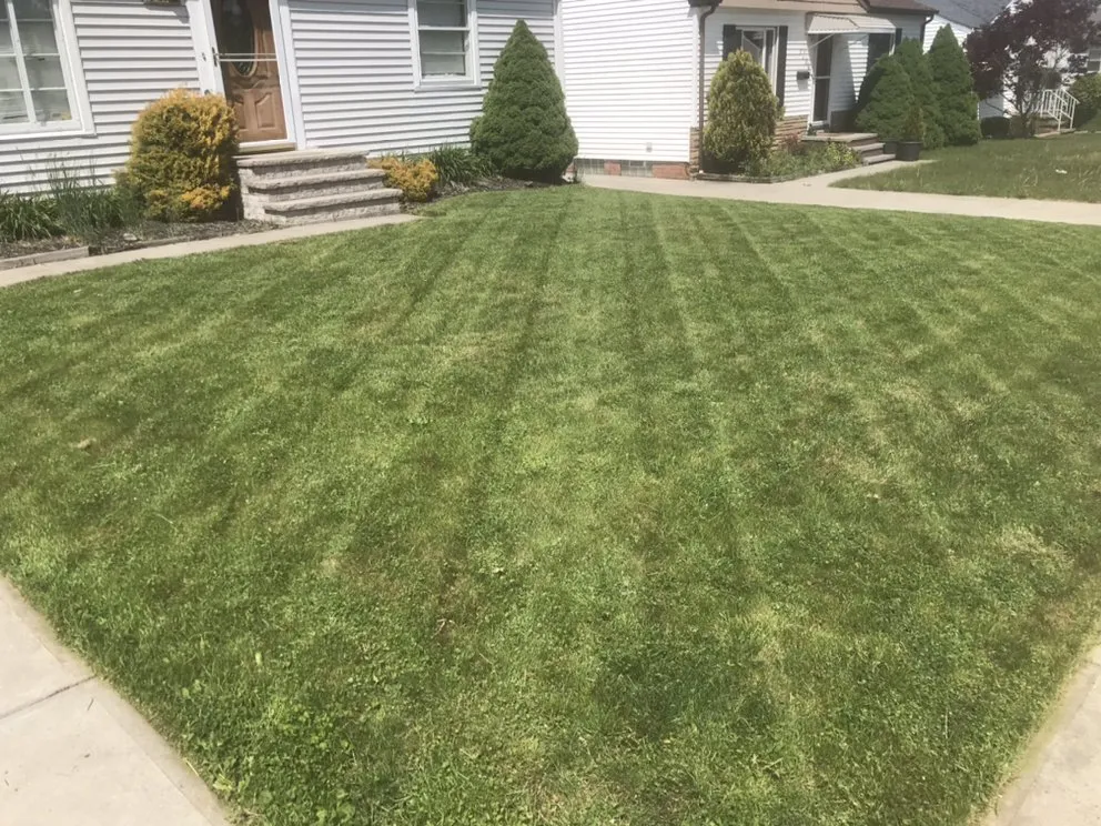 Top-rated lawn care service experts serving Parma, OH - Clean Cuts Lawn Care And Property Services