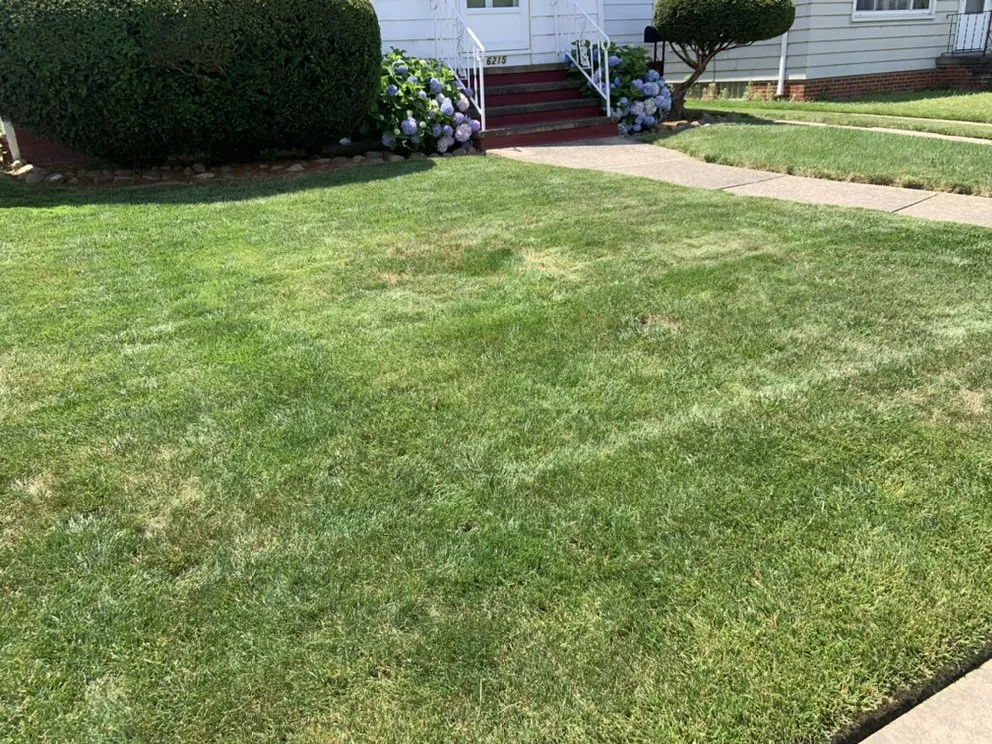 Reliable landscape design experts serving Parma, OH - Clean Cuts Lawn Care And Property Services