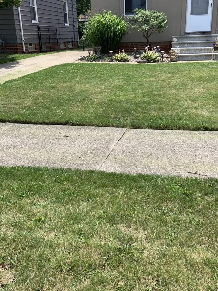 Affordable yard cleanup service near you in Parma, OH by Clean Cuts Lawn Care And Property Services