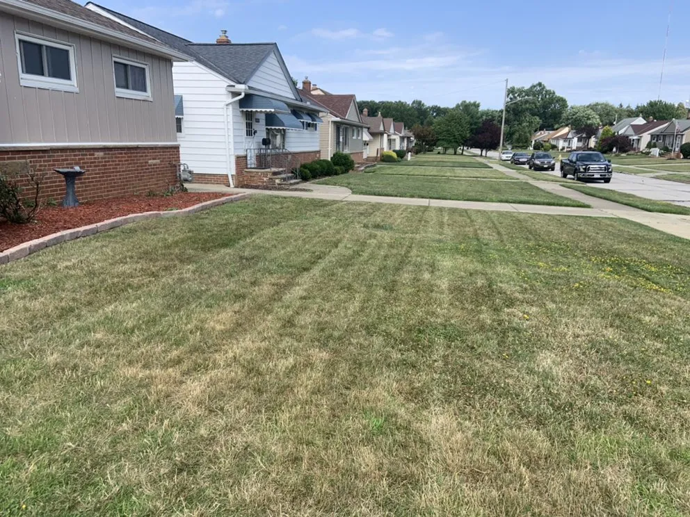Affordable lawn care service for residential properties in Parma, OH by Clean Cuts Lawn Care And Property Services