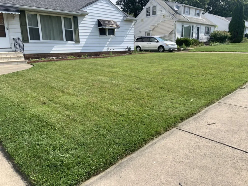 Affordable yard cleanup service in Parma, OH - Clean Cuts Lawn Care And Property Services