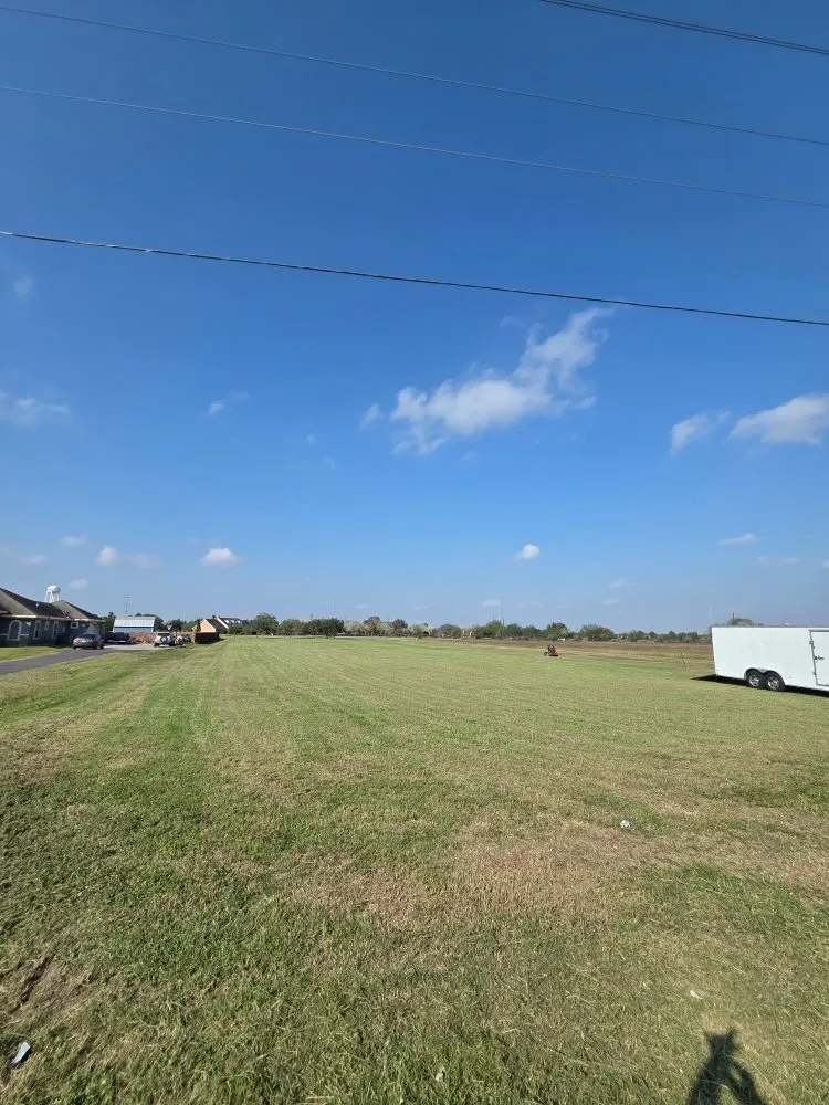 Professional yard cleanup service for year-round maintenance in Brownsville, TX by Clean Cuts Lawn Care