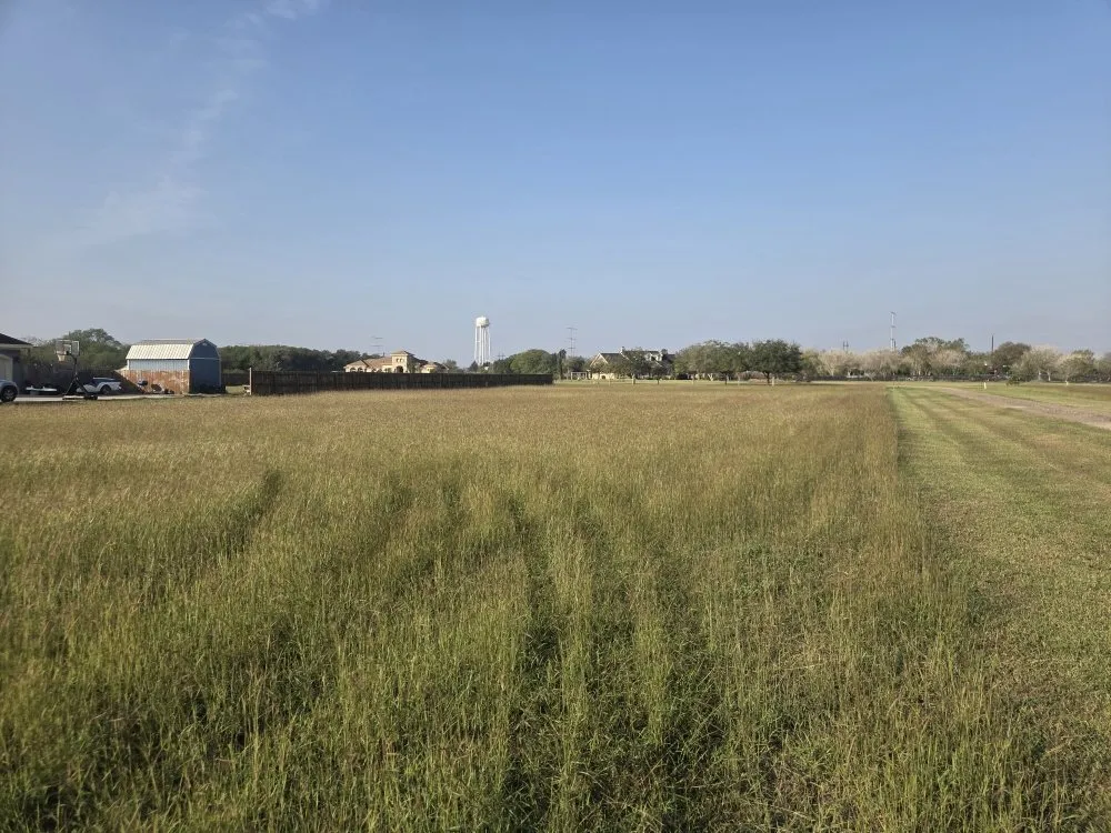 Reliable lawn mowing service in Brownsville, TX - Clean Cuts Lawn Care